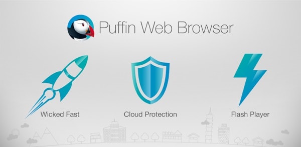 Puffin Download