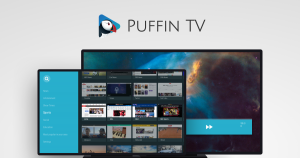 Puffin tv browser не воспроизводит видео в браузере